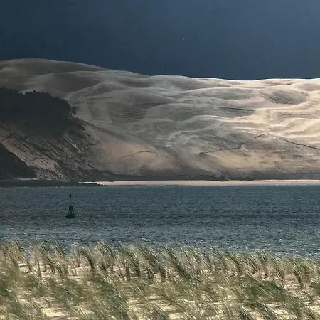 Bella à Arcachon